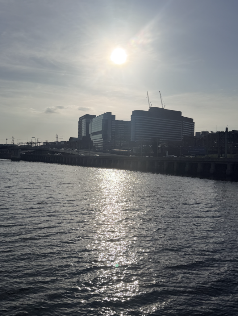 Screenshot 2026 04 03 at 3.52.06 PM